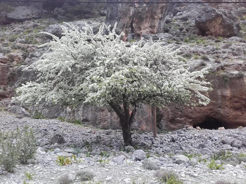 Апартаменти Faragi Айіа-Румелі Екстер'єр фото